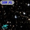 37P 75