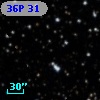 36P 31