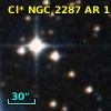 Cl* NGC 2287     AR      15
