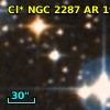 Cl* NGC 2287     AR      19