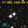 Cl* NGC 2287     AR      31