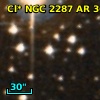 Cl* NGC 2287     AR      36