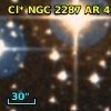 Cl* NGC 2287     AR      46