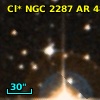 Cl* NGC 2287     AR      48