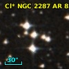 Cl* NGC 2287     AR      83