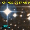 Cl* NGC 2287     AR      98