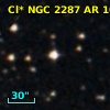 Cl* NGC 2287     AR     104