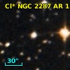 Cl* NGC 2287     AR     110