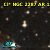 Cl* NGC 2287     AR     122
