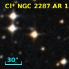 Cl* NGC 2287     AR     131