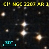 Cl* NGC 2287     AR     134