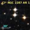 Cl* NGC 2287     AR     135