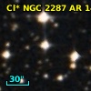 Cl* NGC 2287     AR     141