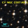 Cl* NGC 2287     AR     146