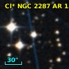 Cl* NGC 2287     AR     155