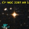 Cl* NGC 2287     AR     161