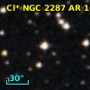 Cl* NGC 2287     AR     163