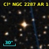 Cl* NGC 2287     AR     167