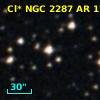 Cl* NGC 2287     AR     170