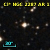 Cl* NGC 2287     AR     172