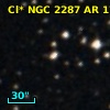 Cl* NGC 2287     AR     176