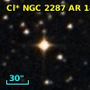 Cl* NGC 2287     AR     184