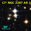 Cl* NGC 2287     AR     196