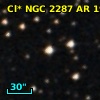 Cl* NGC 2287     AR     199