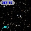 36P 75