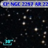 Cl* NGC 2287     AR     224