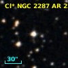 Cl* NGC 2287     AR     229