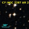 Cl* NGC 2287     AR     236