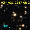 Cl* NGC 2287     AR     255