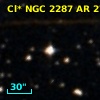 Cl* NGC 2287     AR     272