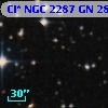 Cl* NGC 2287     GN      28