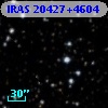 IRAS 20427+4604