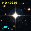 HD  49256
