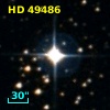 HD  49486