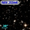NSV 25344