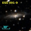 ESO 491-9