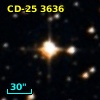 CD-25  3636