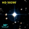 HD  50290