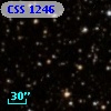CSS 1246
