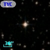 TYC 7092-1310-1