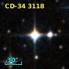 CD-34  3118