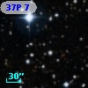 37P  7