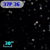 37P 36
