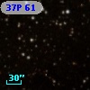 37P 61