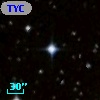 TYC 7096-1731-1