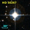 HD  50267